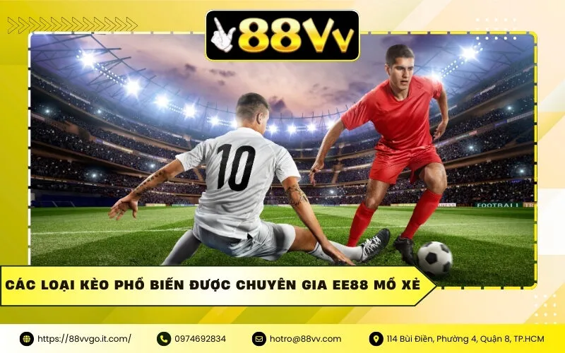 Các loại kèo phổ biến được chuyên gia Ee88 mổ xẻ