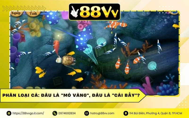 Phân loại cá: Đâu là "mỏ vàng", đâu là "cái bẫy"?